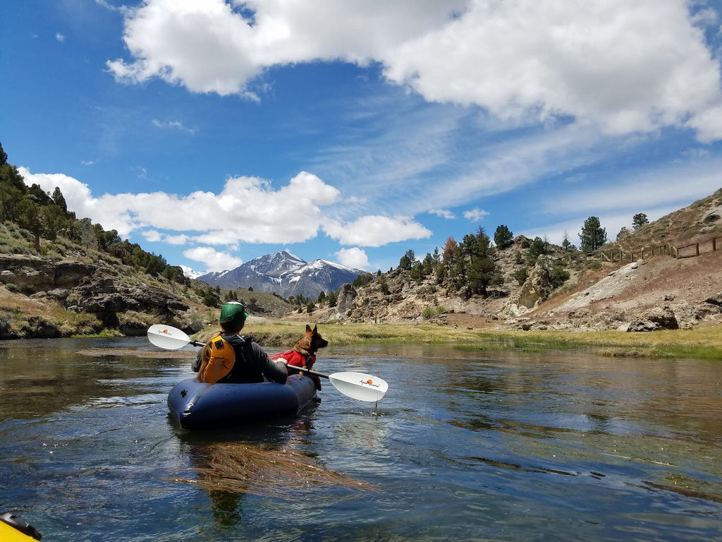 Tips for Packrafting with Your Dog