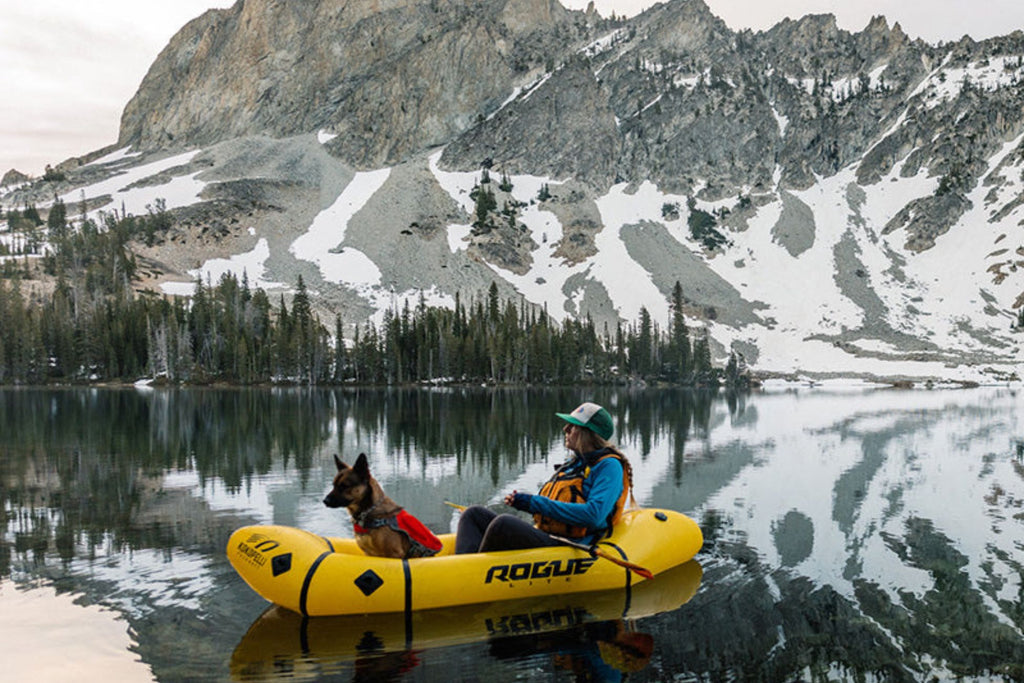 5 Tips To Keep Your Dog Safe on Your Rafting Adventure
